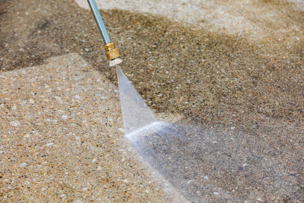 Best Soft Washing  in Jensen Beach, FL